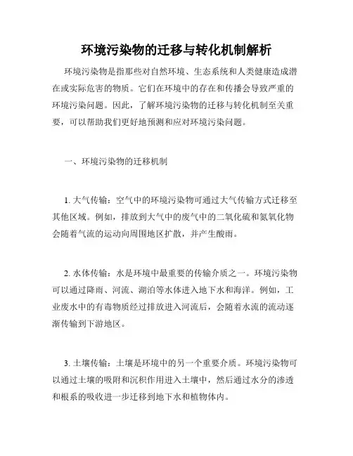 环境污染物的迁移与转化机制解析
