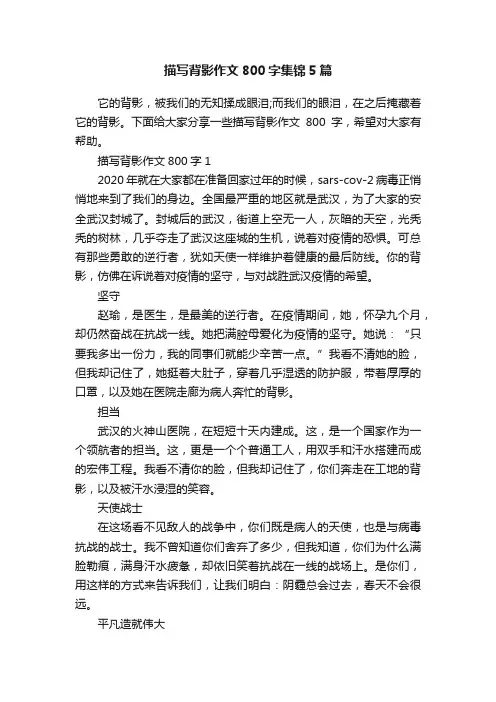 描写背影作文800字集锦5篇