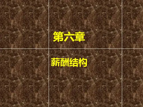 刘昕薪酬管理第六章