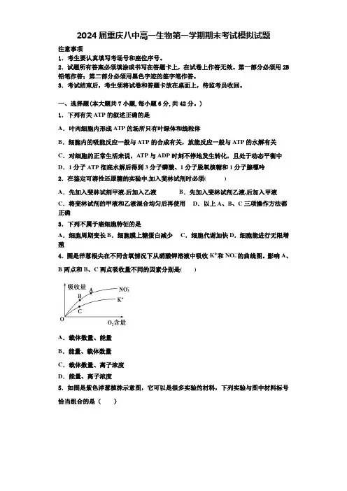 2024届重庆八中高一生物第一学期期末考试模拟试题含解析