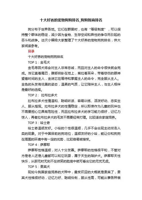 十大好养的宠物狗狗排名_狗狗智商排名