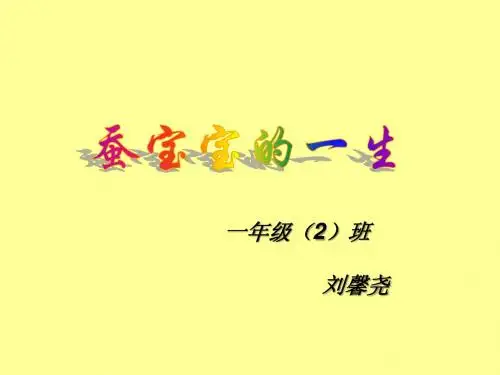 蚕的一生