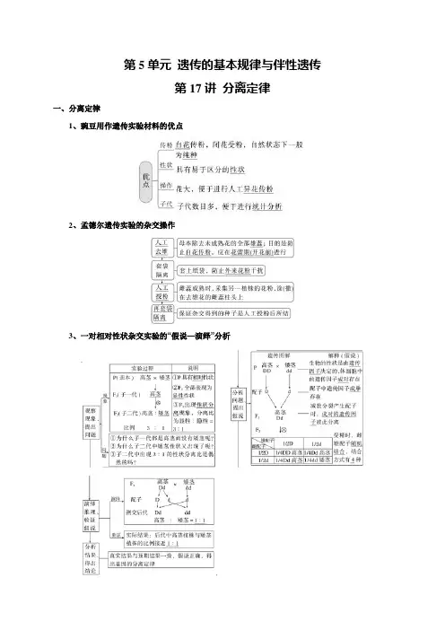 高考生物一轮复习讲义：第5单元 遗传的基本规律与伴性遗传