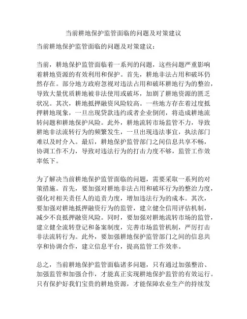 当前耕地保护监管面临的问题及对策建议