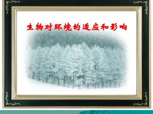 生物对环境的适应和影响PPT课件17-人教版全篇