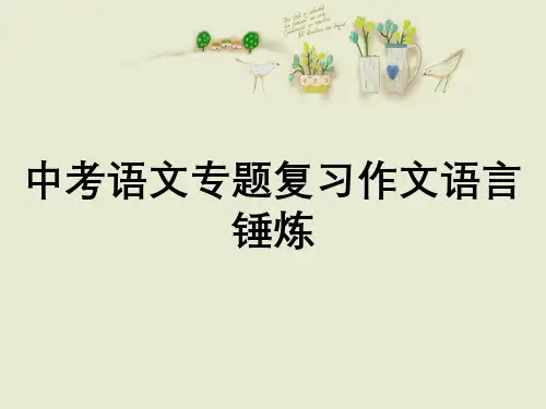 中考语文专题复习作文语言锤炼