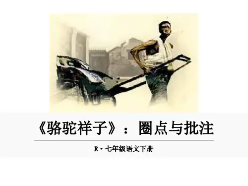 名著导读 骆驼祥子 大赛获奖精美课件  省一等奖课件