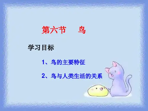 第六节 鸟学习目标1鸟的主要特征2鸟与人类生活的关系