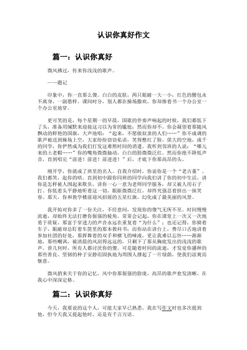 认识你真好作文