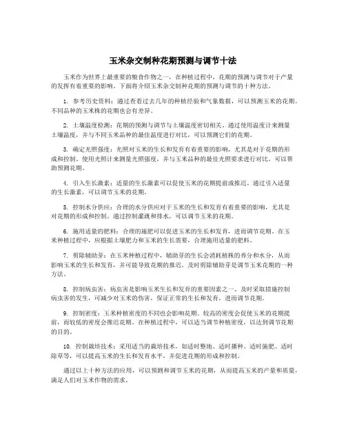 玉米杂交制种花期预测与调节十法