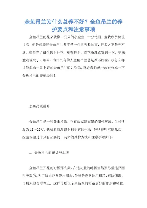 金鱼吊兰为什么总养不好？金鱼吊兰的养护要点和注意事项