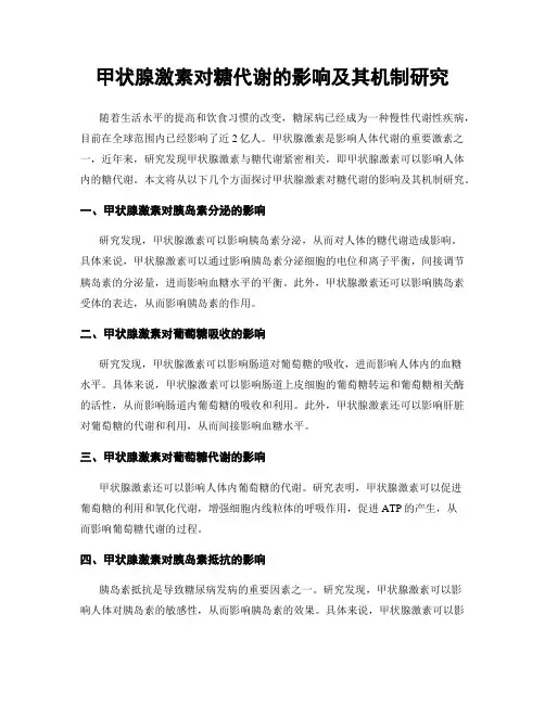 甲状腺激素对糖代谢的影响及其机制研究