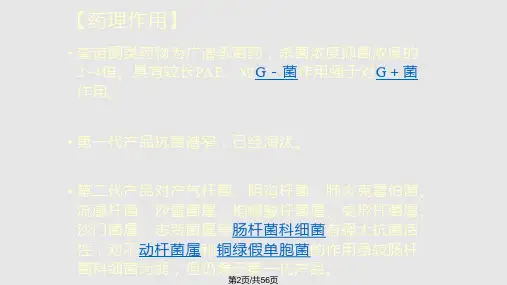 药理学人工合成抗菌药