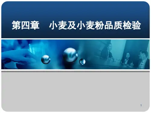小麦及小麦粉品质检验