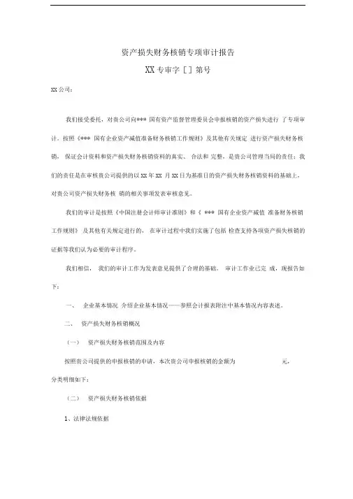资产损失财务核销专项审计报告