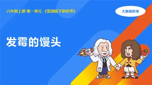1.3发霉的馒头(课件)(共21张PPT) 大象版六年级科学上册