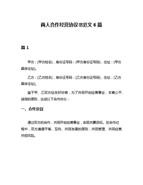 两人合作经营协议书范文6篇