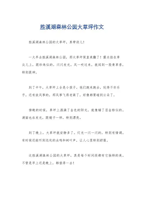 胜溪湖森林公园大草坪作文