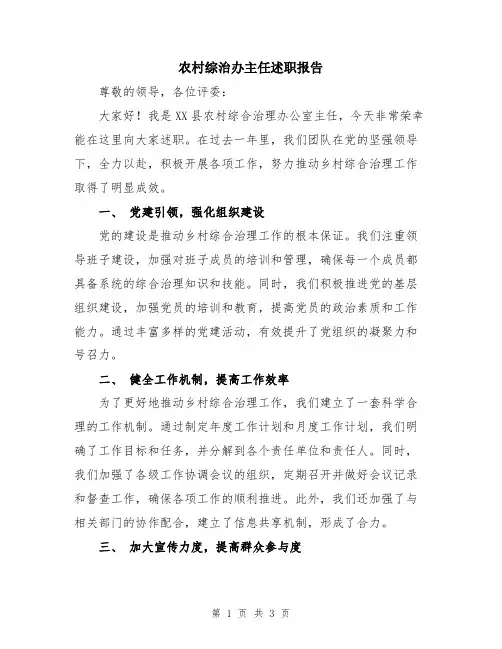 农村综治办主任述职报告