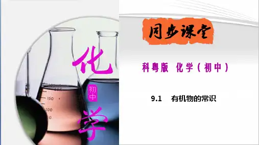 9.1++有机物的常识-(课件精讲)-2022-2023学年九年级化学下册精品课堂课件精讲及好题精练