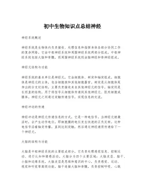 初中生物知识点总结神经