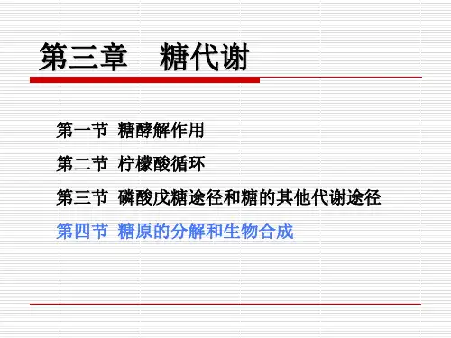 第3章 第四节糖原的分解和生物合成(总)