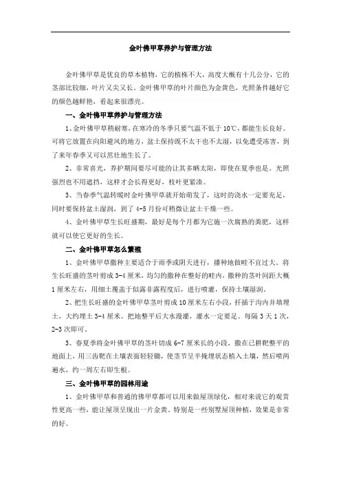 新疆金叶佛甲草