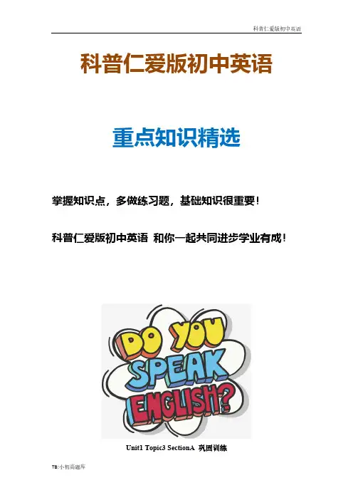 科普仁爱版初中英语九年级上册Unit1 Topic3 SectionA 巩固训练