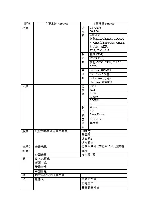 常用实验动物及品种、品系