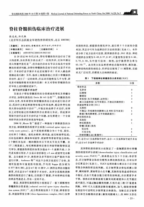 脊柱脊髓损伤临床治疗进展