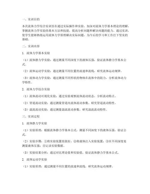 流体力学综合实训报告范文