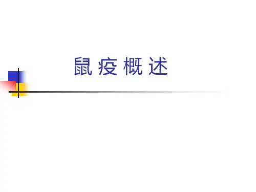 鼠疫-PPT课件
