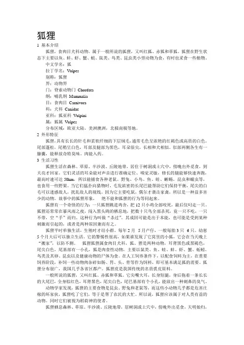 狐狸资料