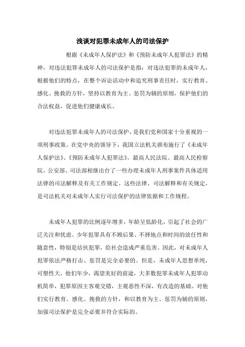 浅谈对犯罪未成年人的司法保护