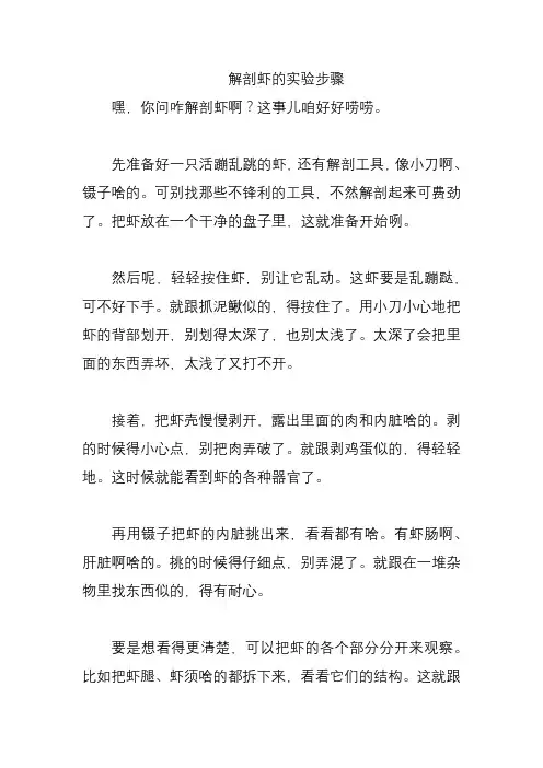 解剖虾的实验步骤