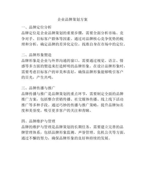 企业品牌策划方案