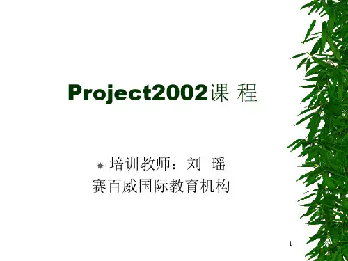 Project2002 教学大纲修改