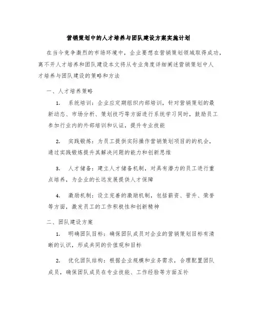 营销策划中的人才培养与团队建设方案实施计划