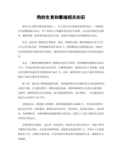 狗的生育和繁殖相关知识