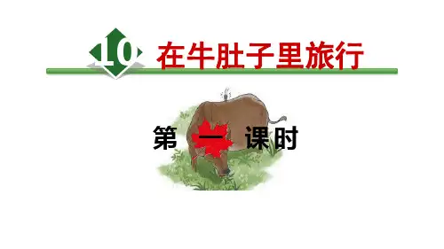 部编版三年级上册《在牛肚子里旅行》PPT课件1