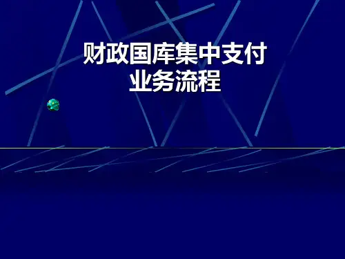 国库集中支付总流程图课件