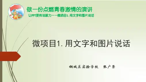用文字和图片说话方案