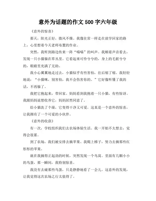 意外为话题的作文500字六年级