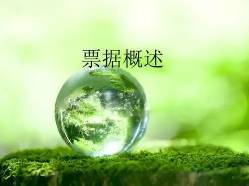 票据概述ppt课件