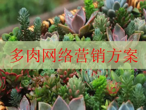 多肉植物培训学习PPT课件
