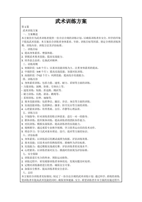 武术训练方案