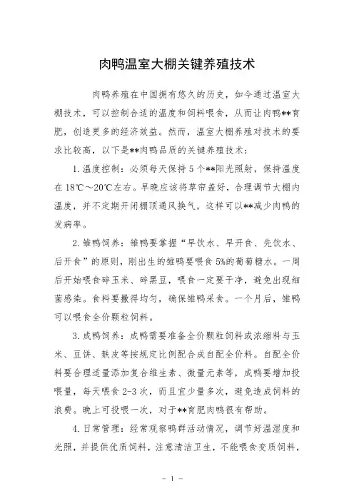 肉鸭温室大棚关键养殖技术