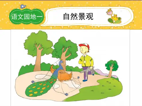 四年级作文 美丽的自然景观 课件