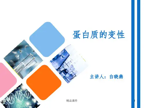 蛋白质的变性ppt课件