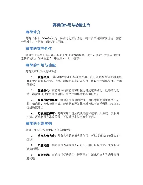 薄荷的作用与功能主治